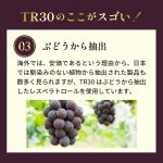 TR30 [100ml×6本セット]